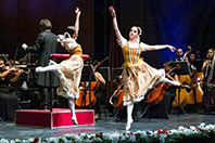 Samsun Devlet Opera ve Balesi